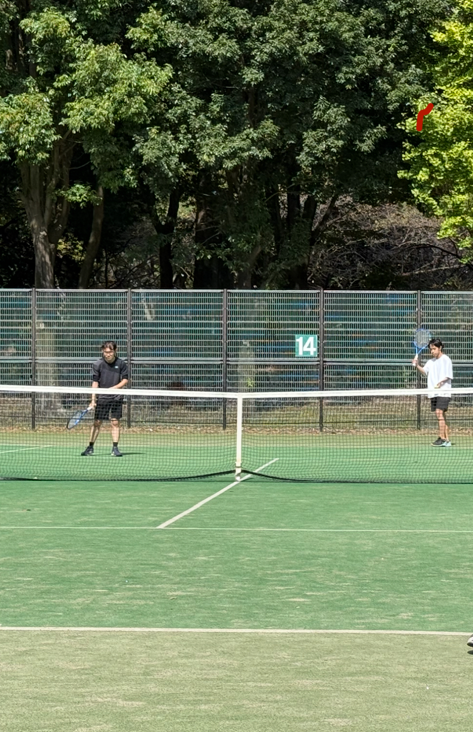 総合体育大会　④